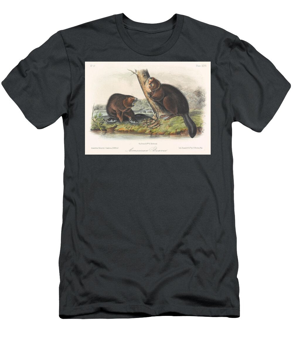 1 American Beaver John James Audubon T-Shirt