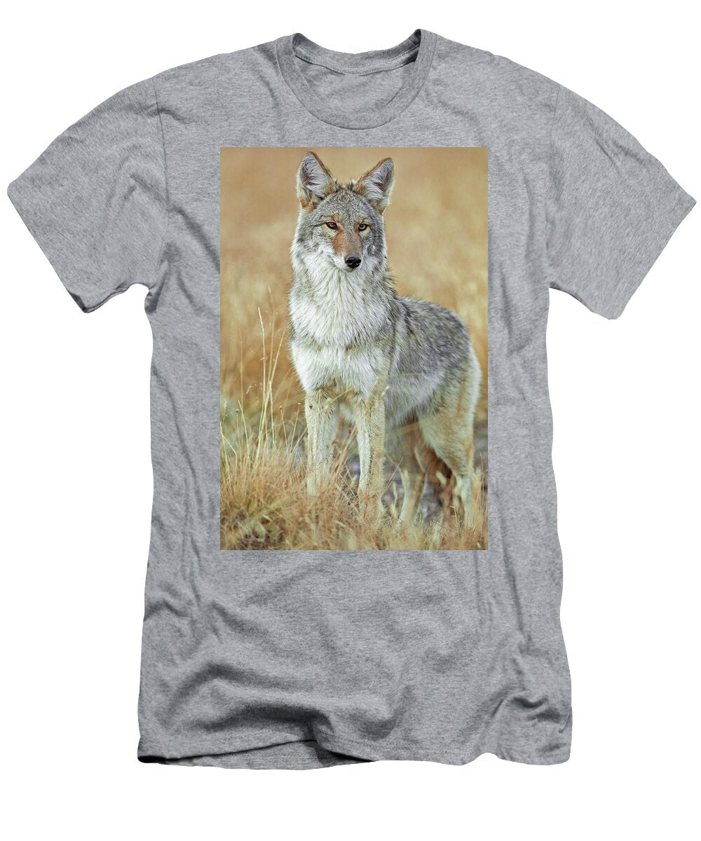 1 Coyote in Sagebrush Grassland Yellowstone National Park George Sanker Natureplcom T-Shirt