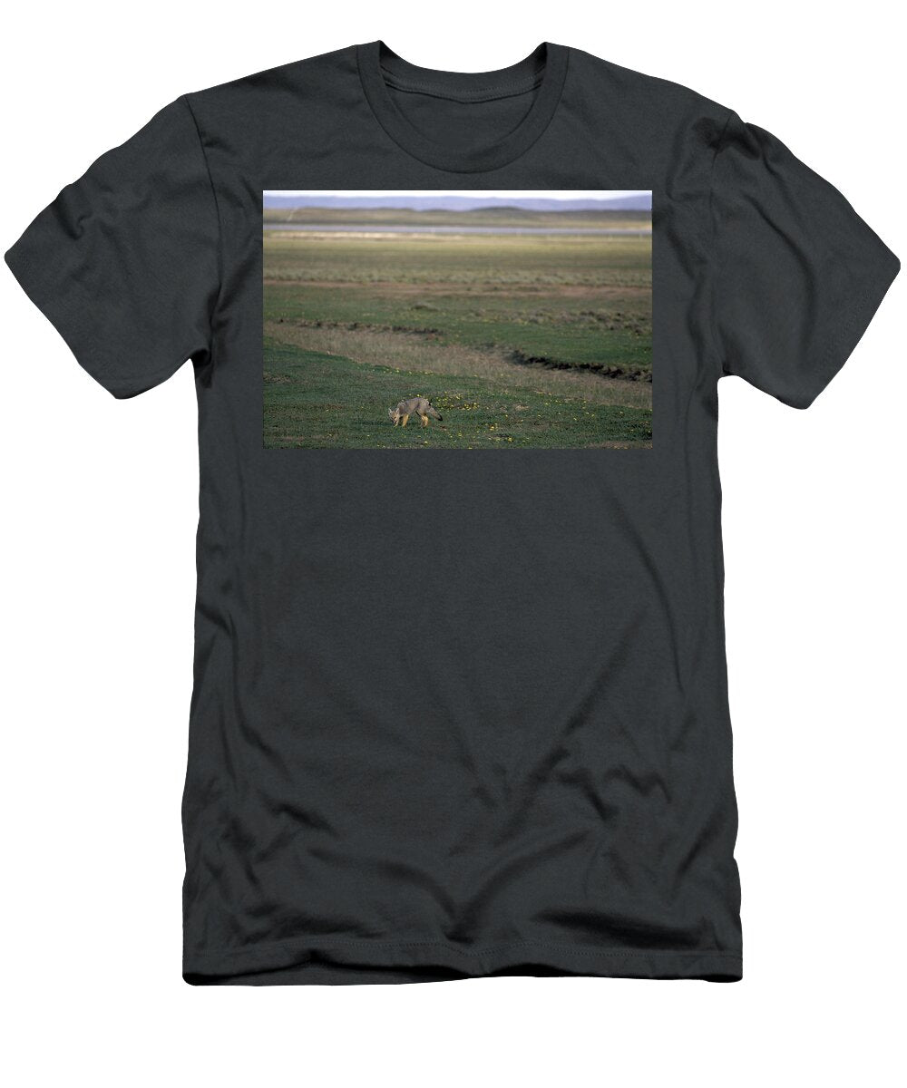 2 Environmental Woes of Tierra Del Fuego Kevin Moloney T-Shirt
