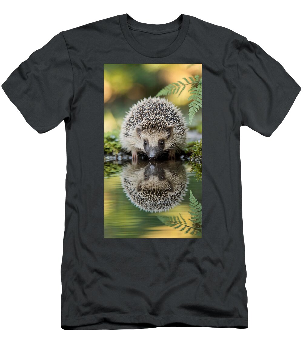 3 Hedgehog Joanna Redesiuk T-Shirt