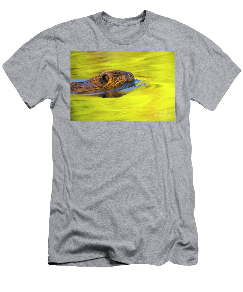 American Beaver Swimming Denali Natl T-Shirt