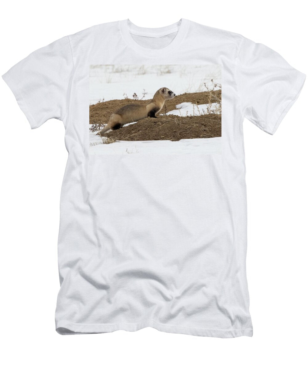 Black Footed Ferret At Edge of Prairie Dog Burrow Hunting Charlie Summers Natureplcom T-Shirt
