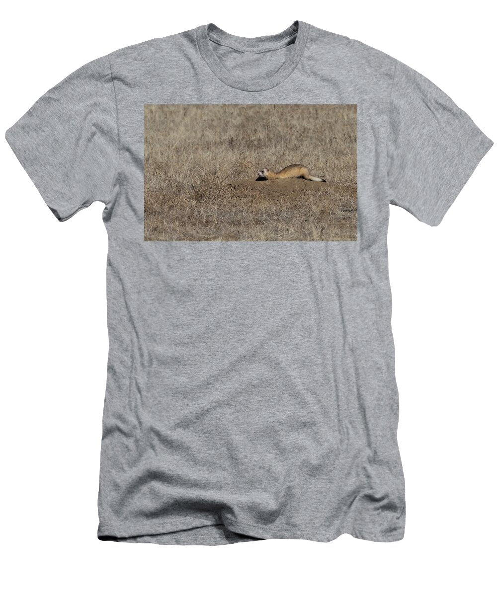 Black Footed Ferret Crouched At Entrance of Prairie Dog Charlie Summers Natureplcom T-Shirt