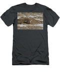 Black Footed Ferret Leaving a Black Tailed Prairie Dog Charlie Summers Natureplcom T-Shirt