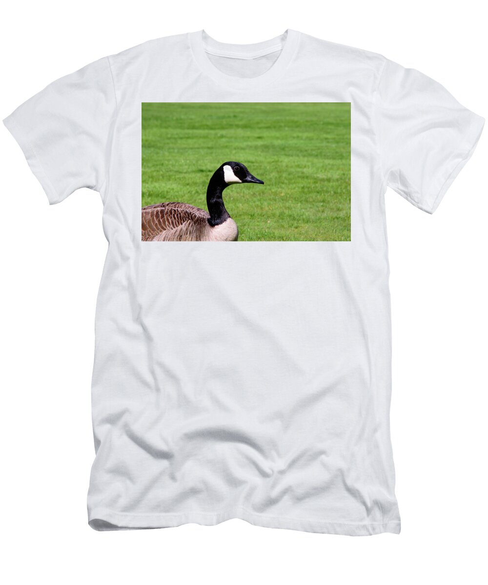 Canada Goose Closeup and Green Grass Johan Ferret T-Shirt