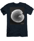 Cleavage in Hamster Embryo Sem David M Phillips T-Shirt