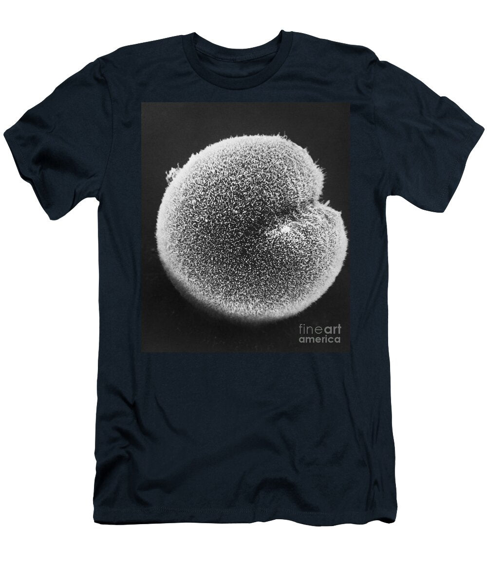 Cleavage in Hamster Embryo Sem David M Phillips T-Shirt
