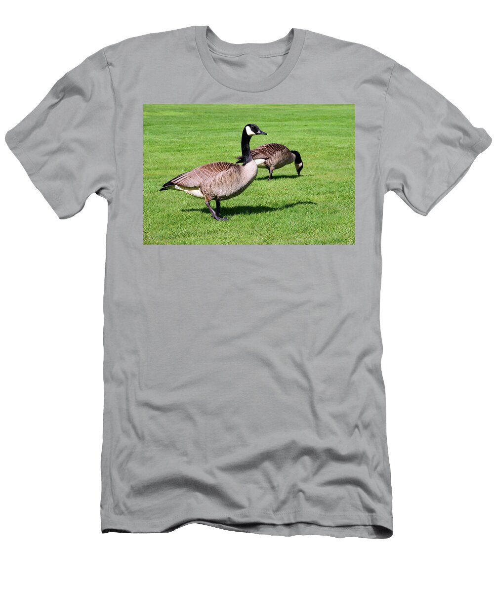 Couple of Canada Geese Feeding Johan Ferret T-Shirt