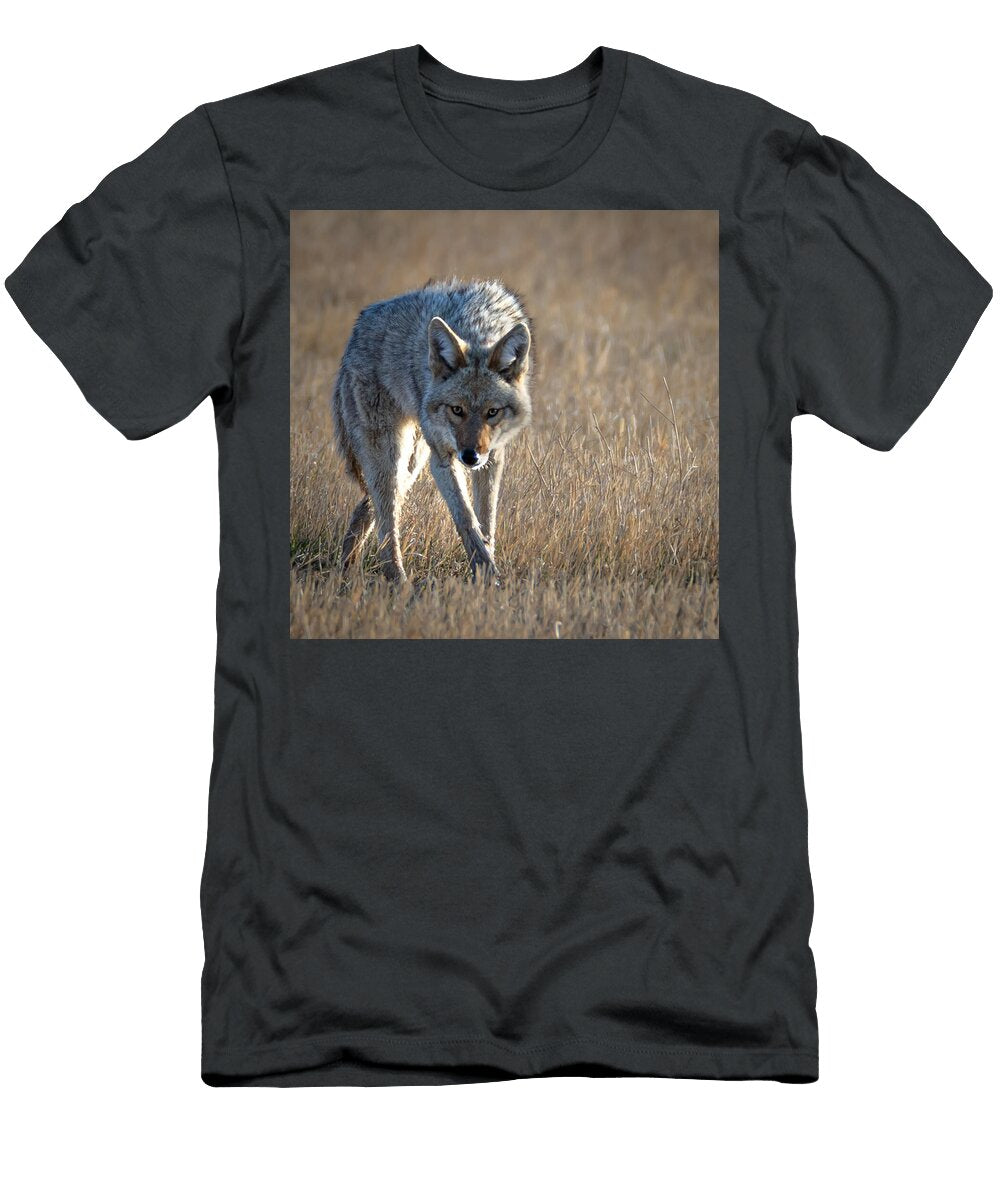 Coyote in Serengeti Plains Amy Booth T-Shirt