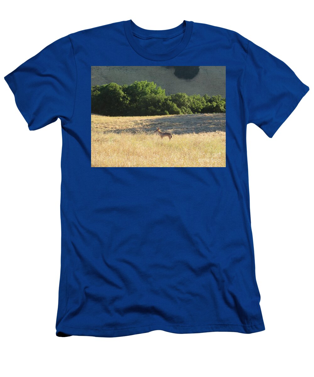 Coyote in the Grass Suzanne Leonard T-Shirt