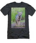 Coyote in the Rain Paul Freidlund T-Shirt