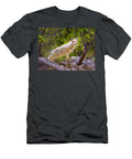 Coyote in the Rocky Mountain National Park James O Thompson T-Shirt