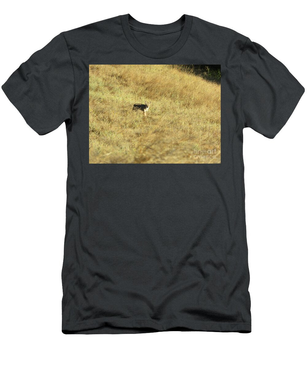 Coyote Siting Suzanne Leonard T-Shirt