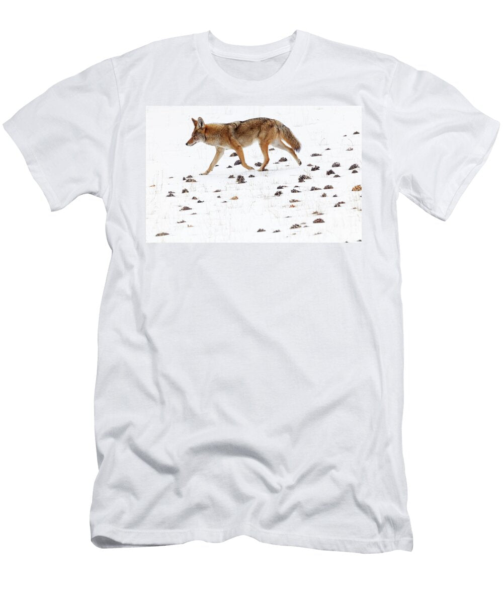 Coyote Walking in the Snow Amongst Pinecones Sierra De San Claudio Contreras Natureplcom T-Shirt