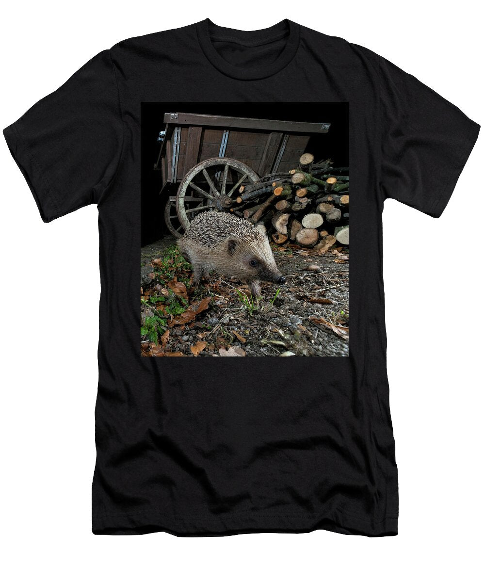 European Hedgehog Walking Through Garden At Night Lucerne Roman Willi Natureplcom T-Shirt