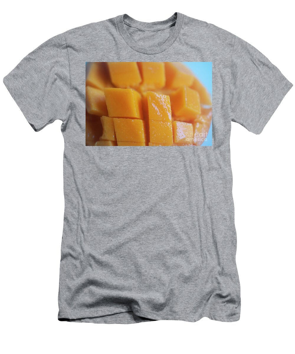 Flat Lay Mango Q2 Ilan Rosen T-Shirt