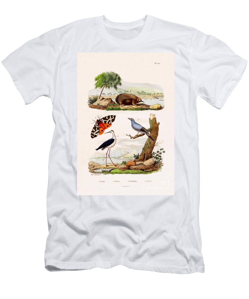 Garden Tiger 1833 39 French School T-Shirt