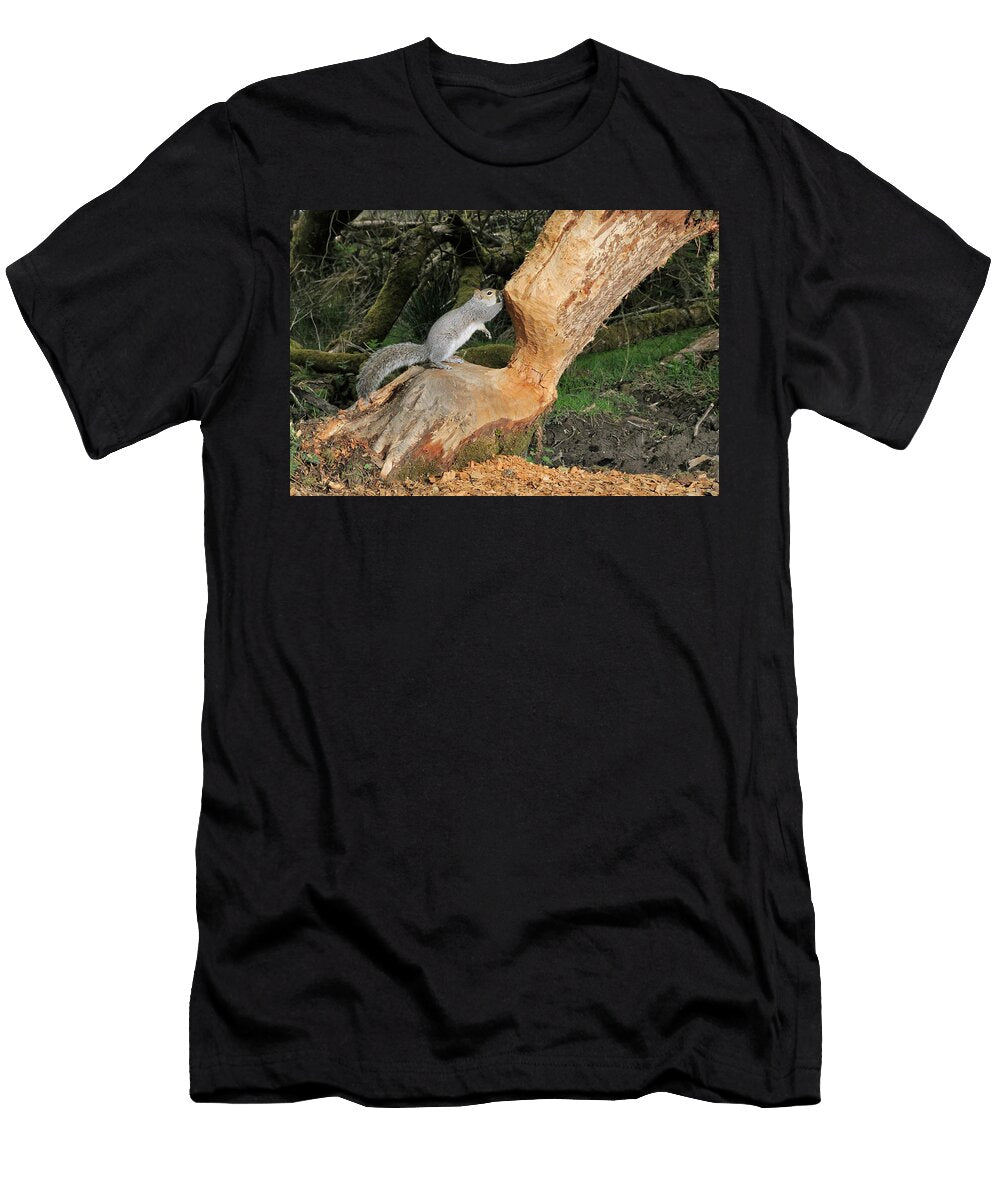 Grey Squirrel Standing on Willow Tree Heavily Gnawed By Nick Upton Natureplcom T-Shirt