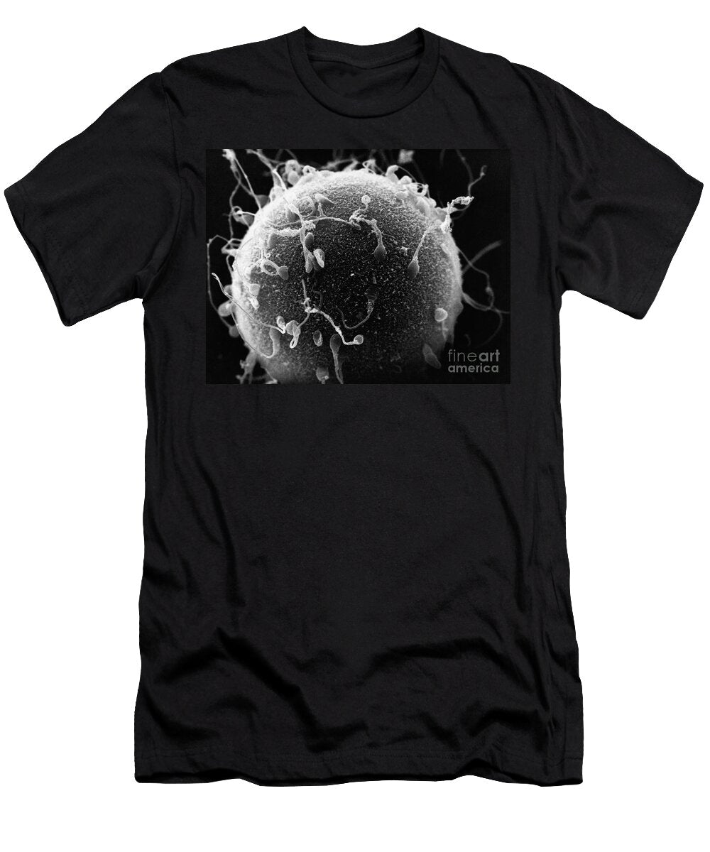 Human Sperm Hamster Egg Sem David M Phillips the Population Council T-Shirt