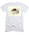 Illustration From the Book Complete Works of Buffon Les Animaux Le Herisson Engraving Unknown Artist T-Shirt