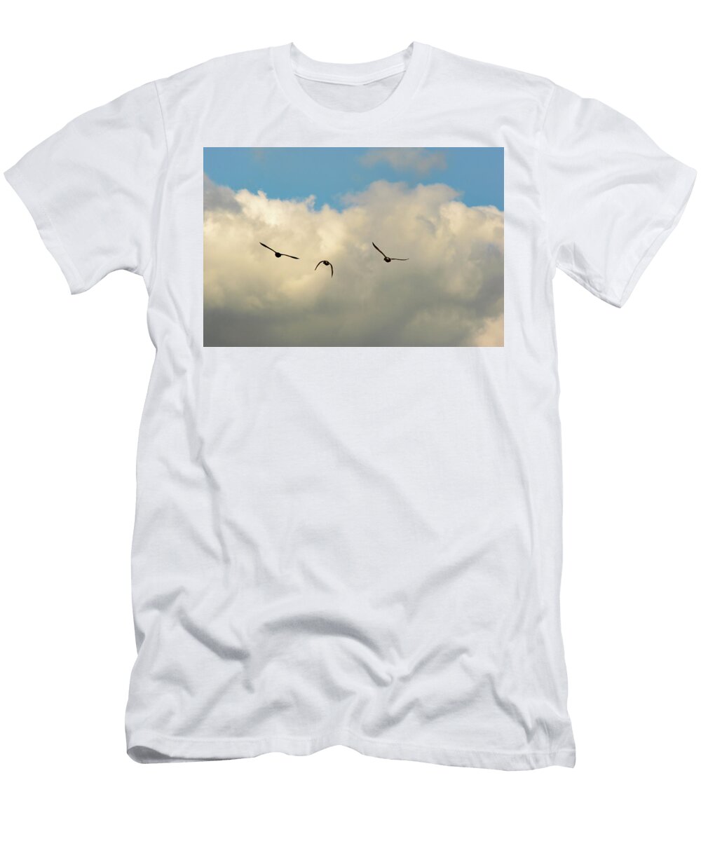 Mallard Ducks Flying to a Cloud Johan Ferret T-Shirt