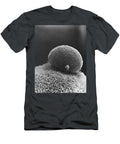 Polar Body on Hamster Ovum Sem David M Phillips T-Shirt