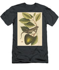 The Guana Lacerta Iguana Art Mark Catesby English T-Shirt