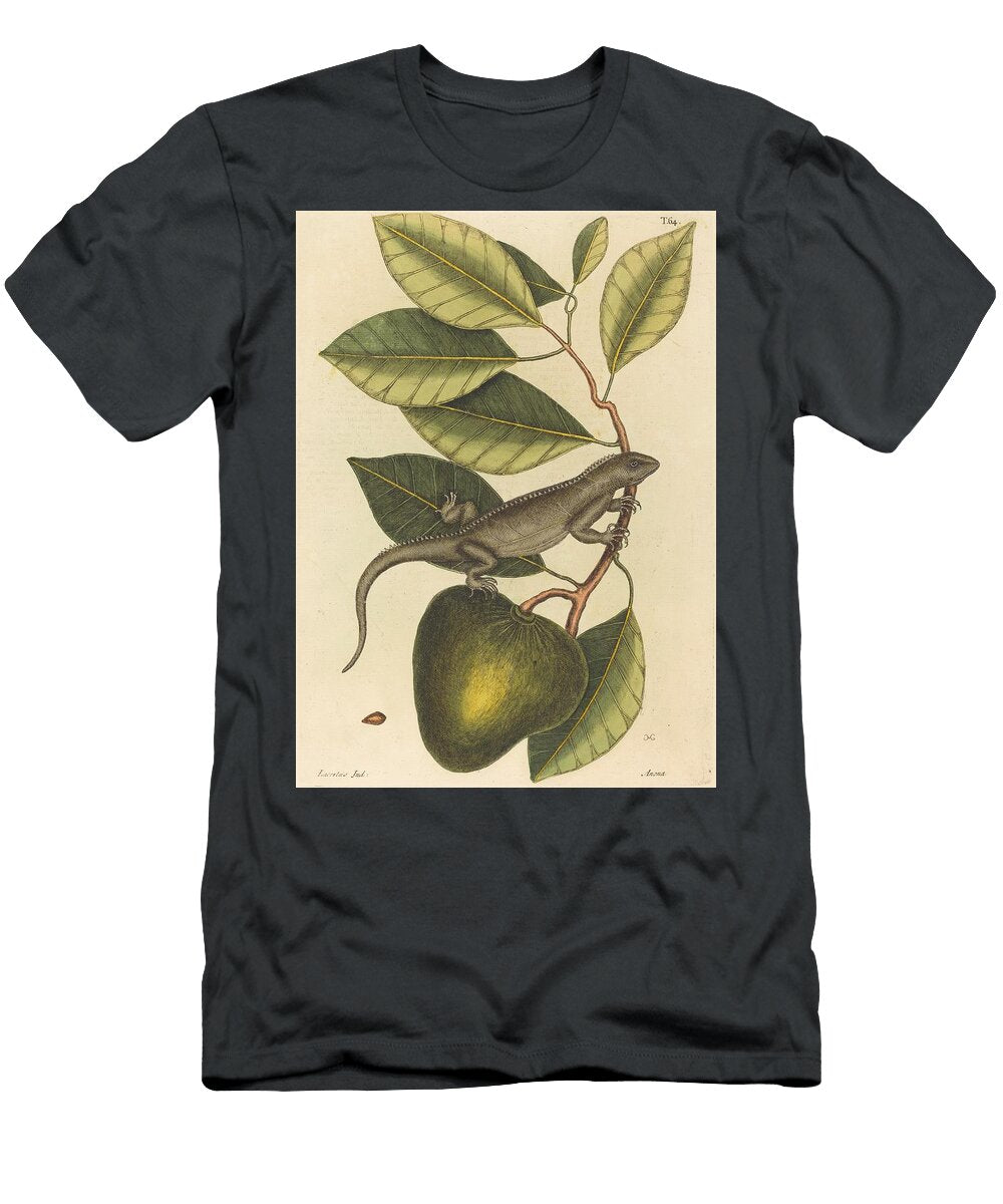 The Guana Lacerta Iguana Art Mark Catesby English T-Shirt