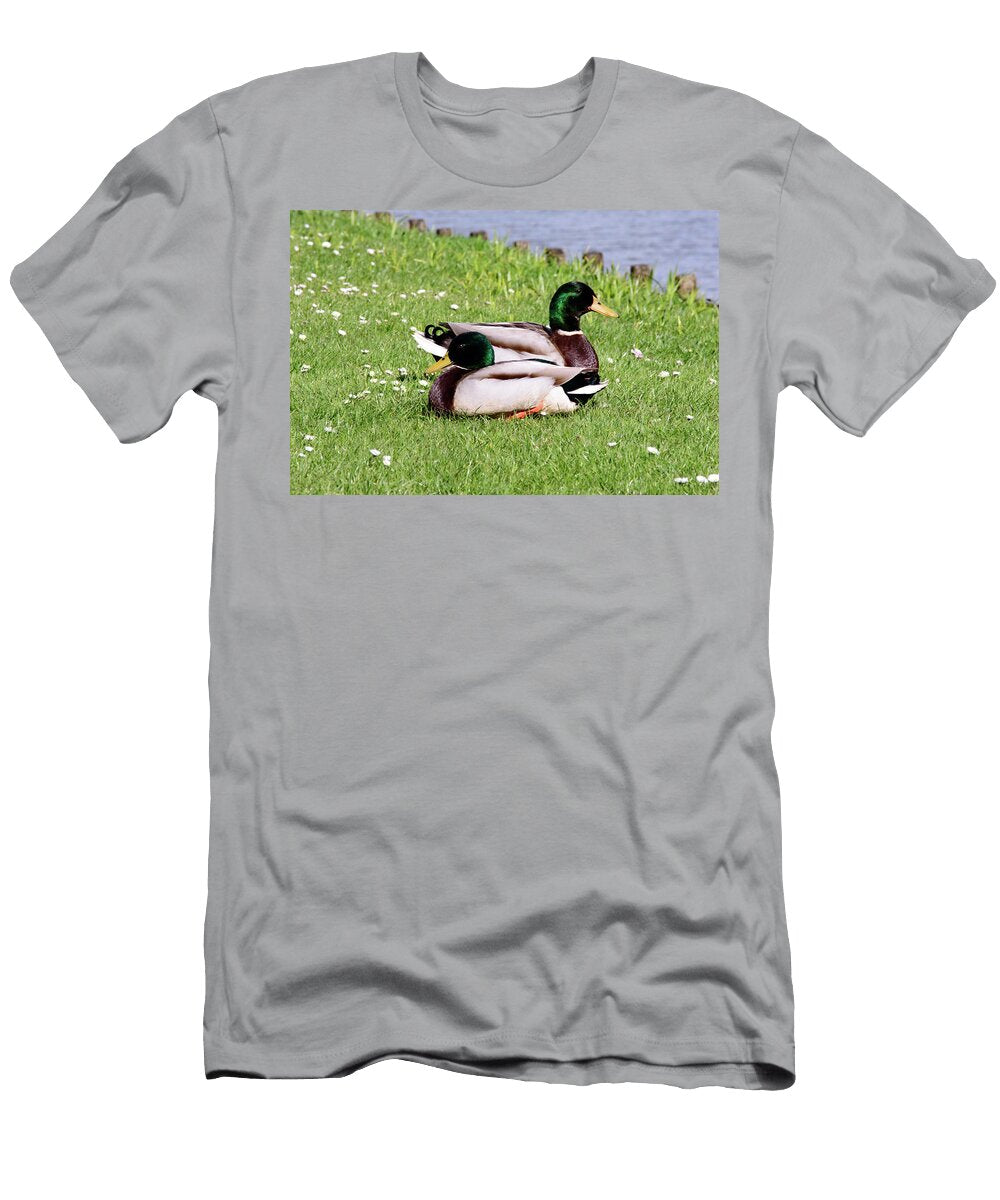 Two Wild Mallard Ducks Resting in the Sun Johan Ferret T-Shirt